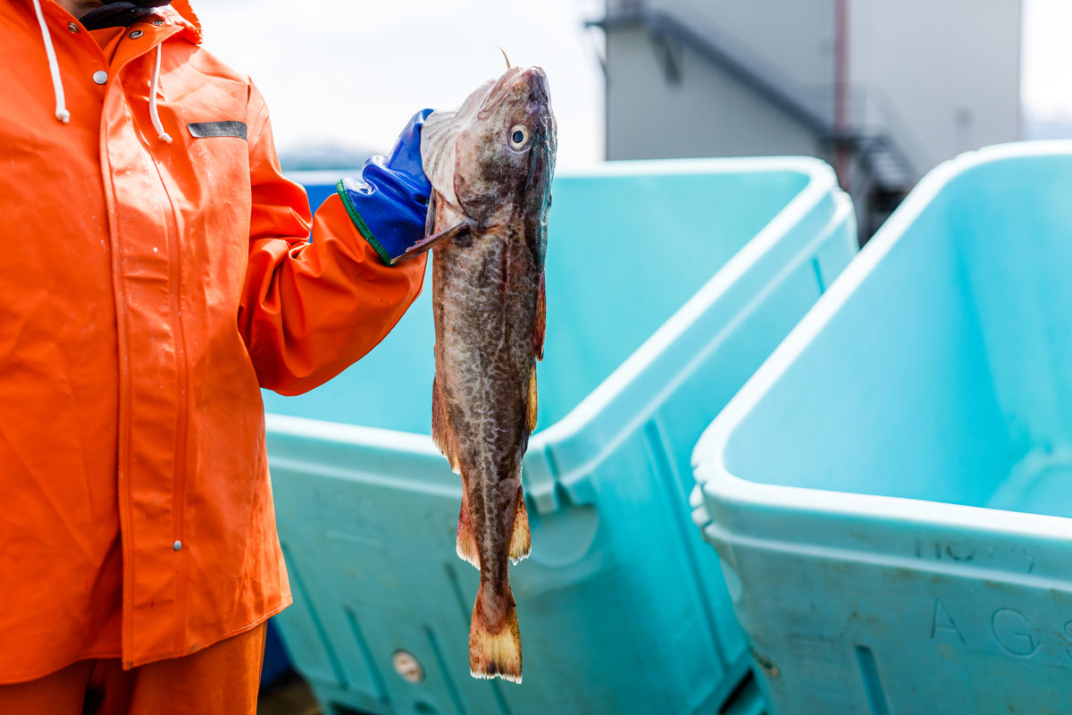 Person in orange raincoat holding a cod next to blue bins