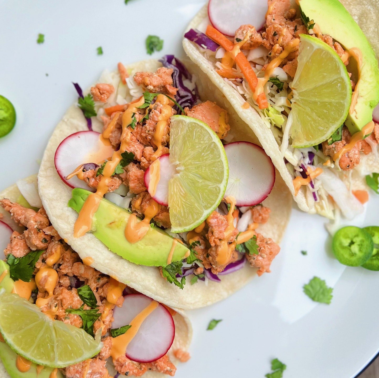 Wild Alaska Coho Salmon Meat