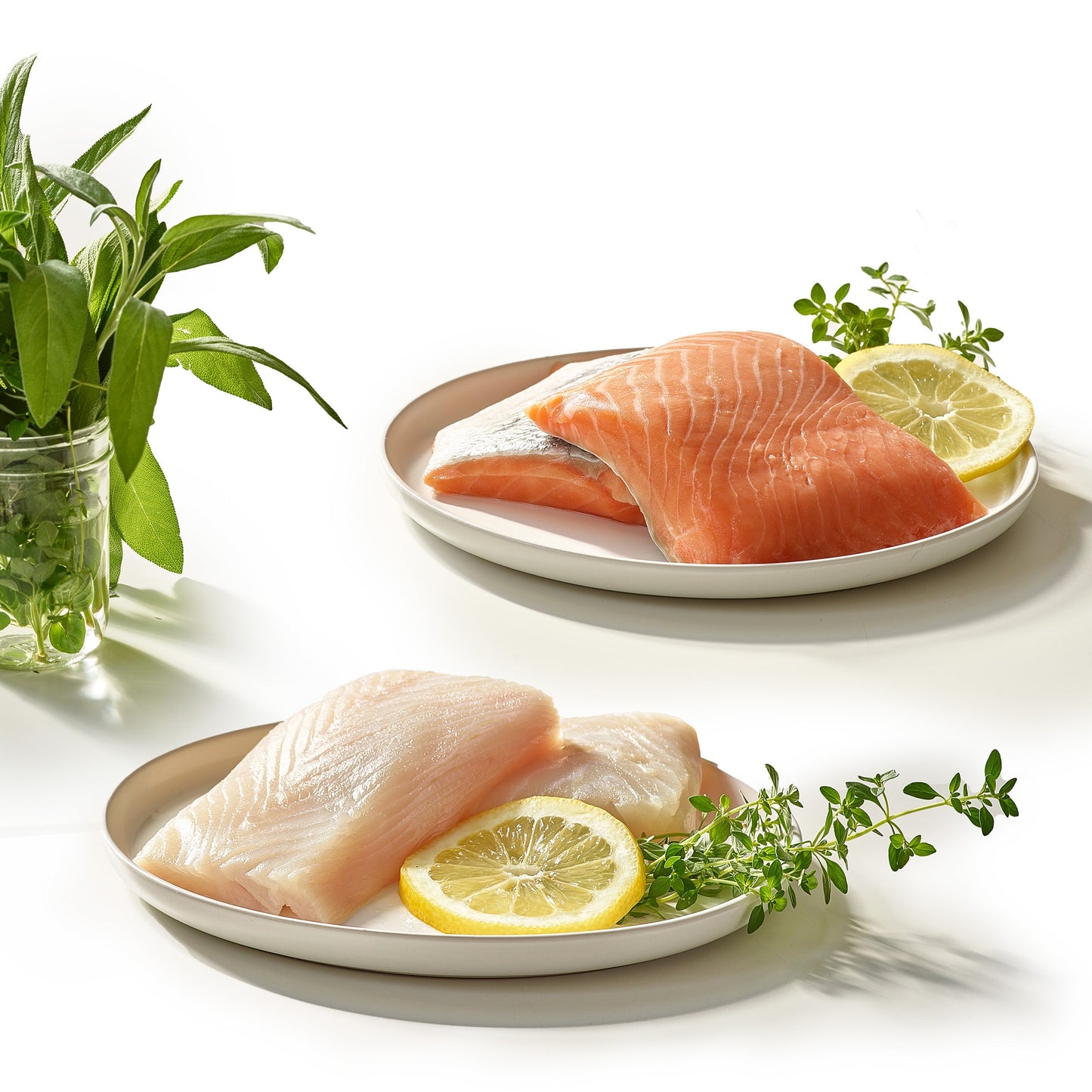 King Salmon + Halibut Bundle