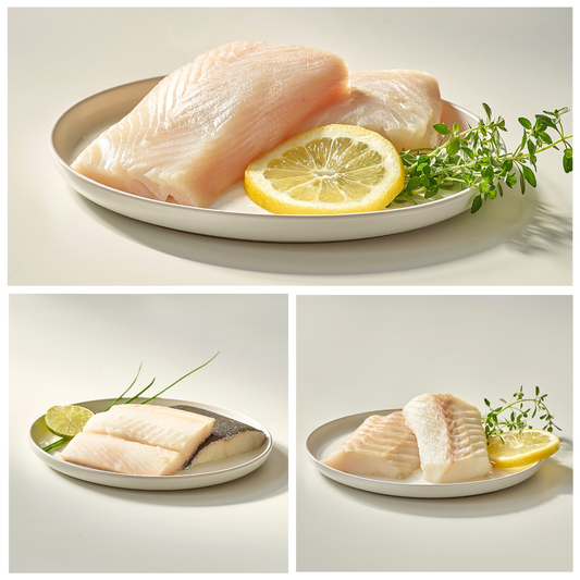 Raw fish fillets on a plate with lemon slices and herbs, shown in three different angles.
