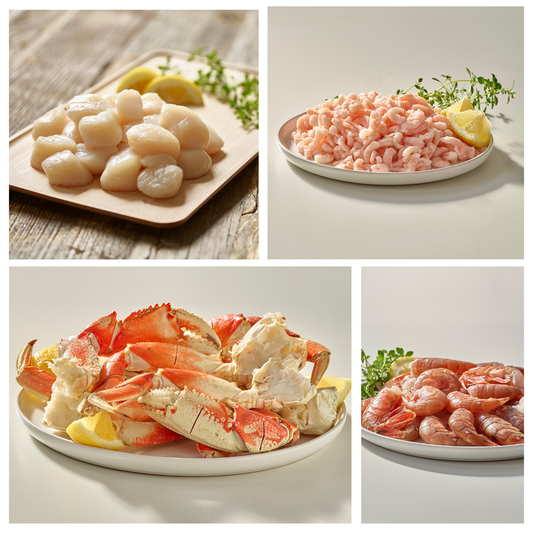 Collage of four images showing different types of seafood on plates with a neutral background.