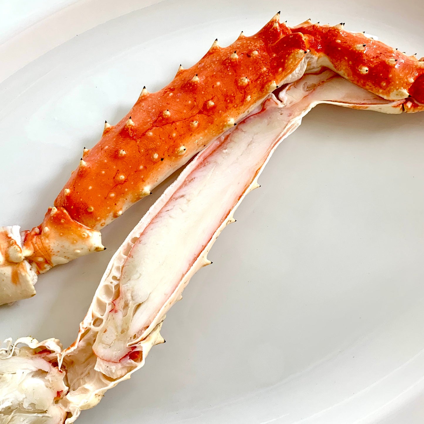 Close up of butterfly split wild Alaskan red king crab leg showing thick crab meat